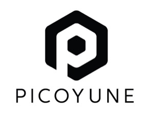 Picoyune LLC logo